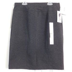 Ellen Tracy Grey Pencil Skirt - NWT Sz M